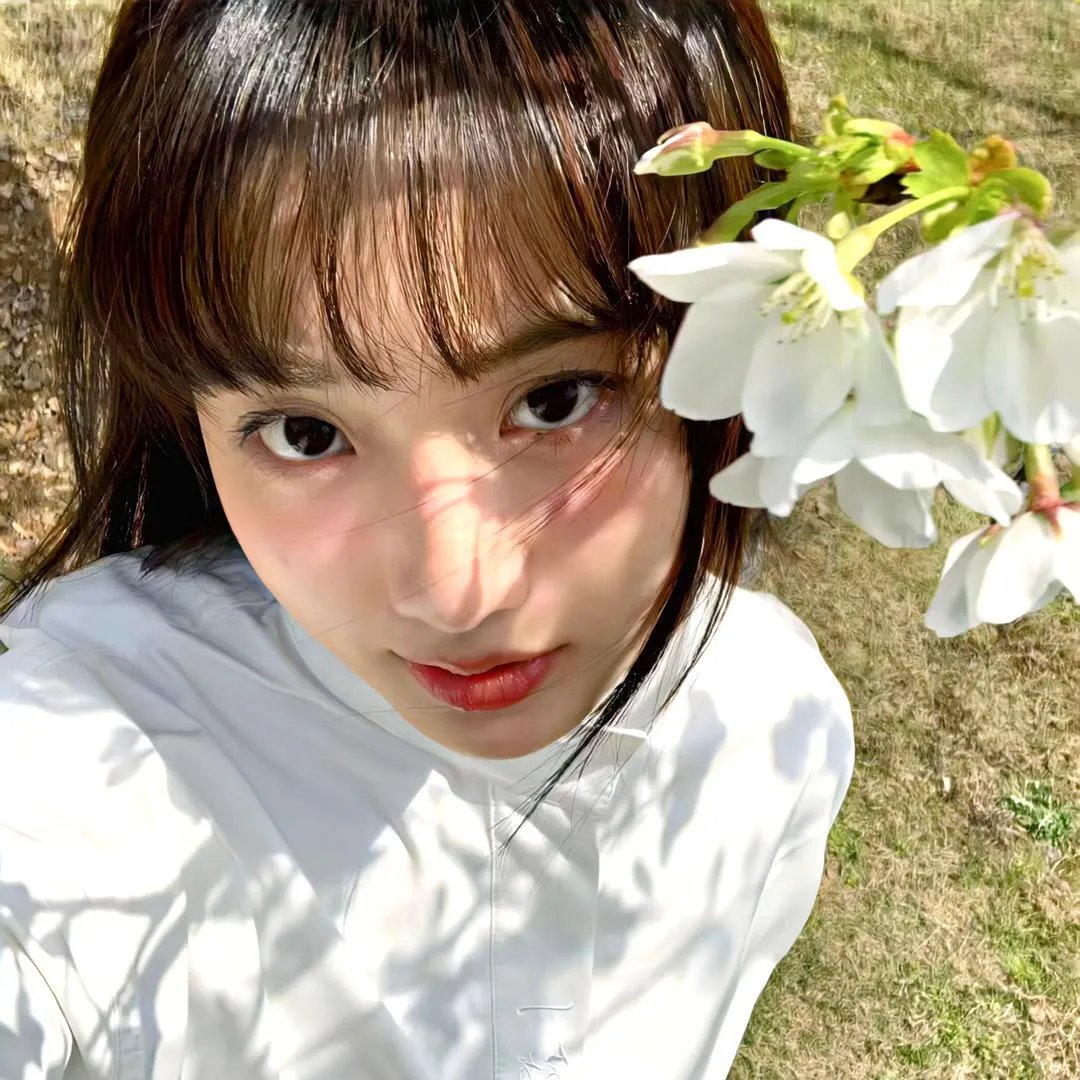 百合绽放
